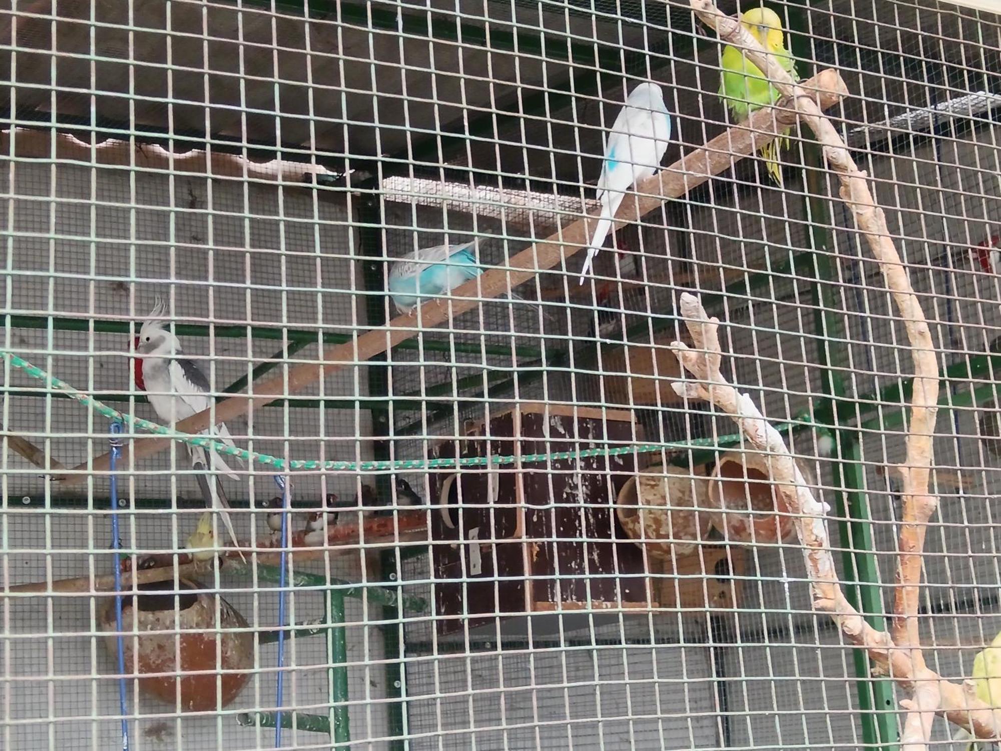 Hospedaje Ajayu Sucre Dış mekan fotoğraf